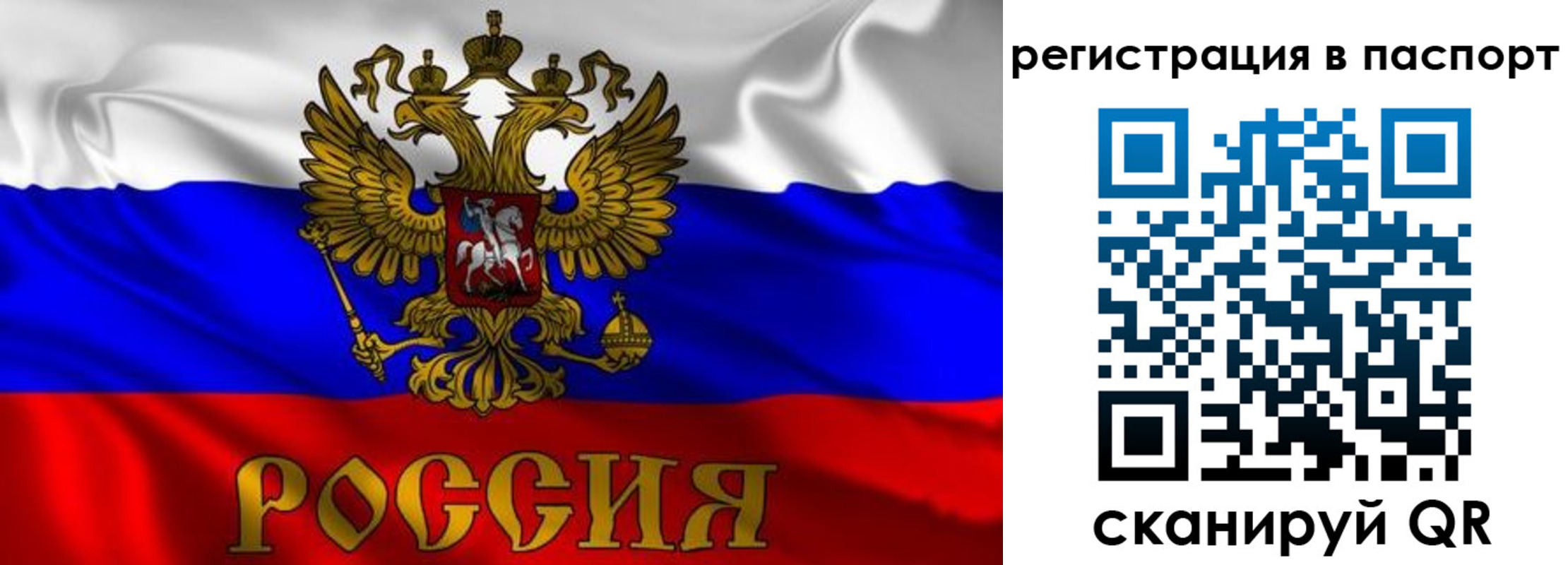 найти адрес прописки в Новгородской области